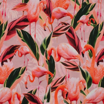 Jersey Flamingo digital