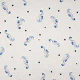 Musselin Seepferd Seehorse